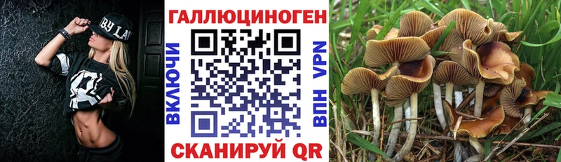 Галлюциногенные грибы Magic Shrooms  Купить  Советск 